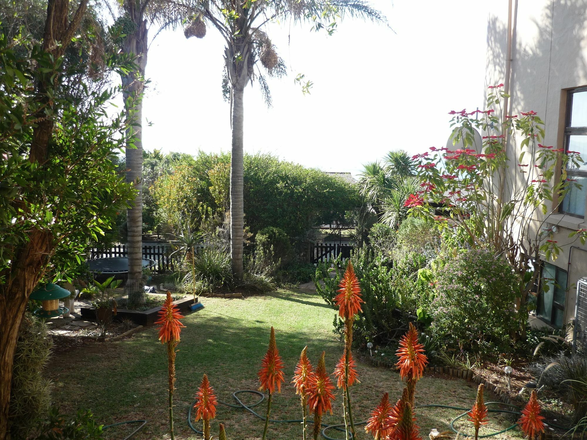 A1 Kynaston Self Catering Or Bed And Breakfast Jeffreys Bay Eksteriør bilde
