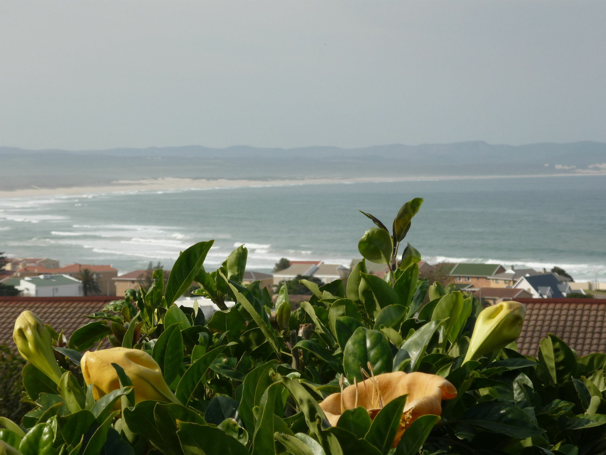A1 Kynaston Self Catering Or Bed And Breakfast Jeffreys Bay Eksteriør bilde