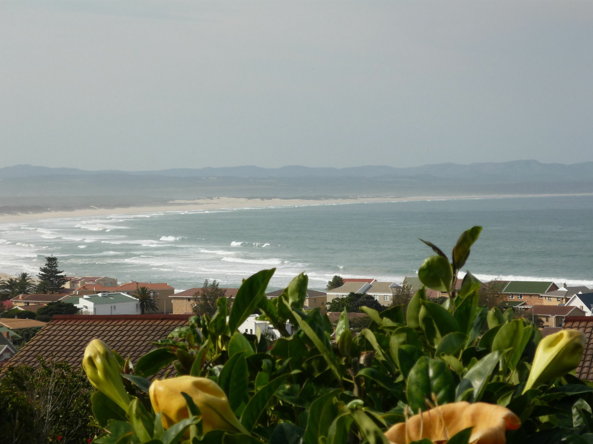 A1 Kynaston Self Catering Or Bed And Breakfast Jeffreys Bay Eksteriør bilde